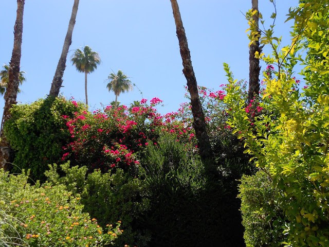 Palm Springs, California – The Parker Gardens