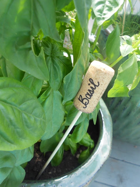 Make herb markers with corks, metal skewers and a Sharpie.