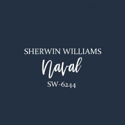 Sherwin Williams Naval in a room design for a teen boy.