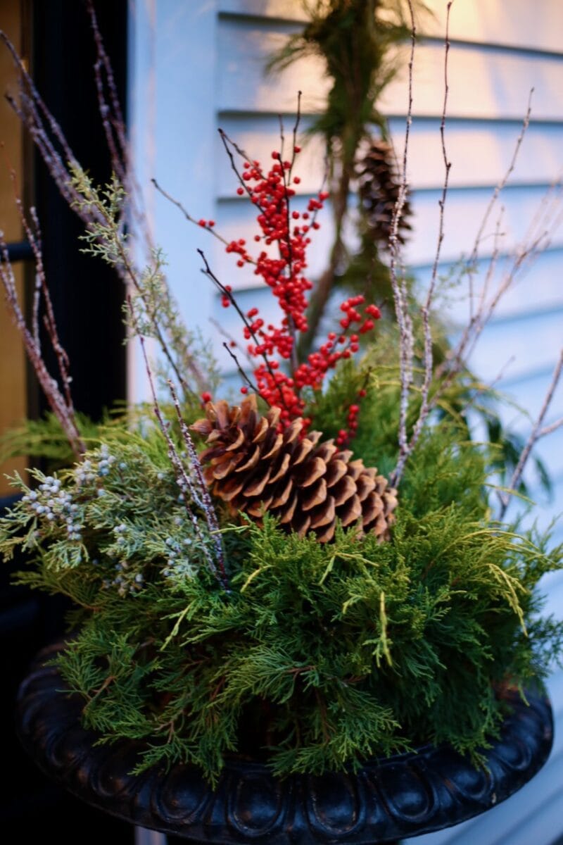 Black wrought iron footed urns flanking front door filled with a potted juniper plant, cedar and pine clippings and red berries for Christmas.